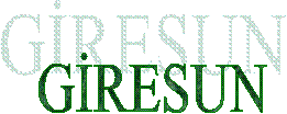 GİRESUN